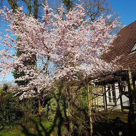 Lieblingsplatz Appartement Bremen Buitenkant foto
