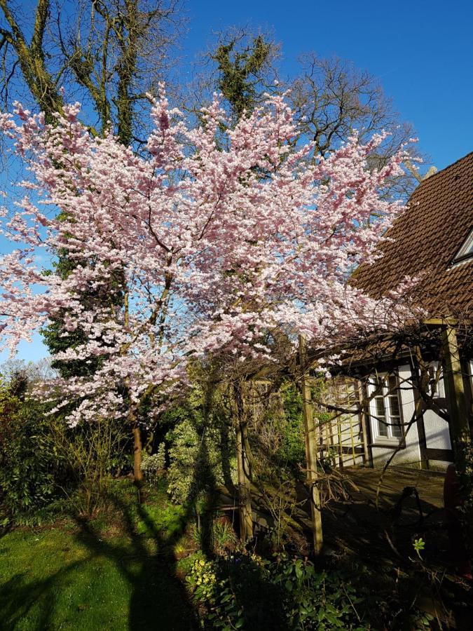 Lieblingsplatz * Bremen